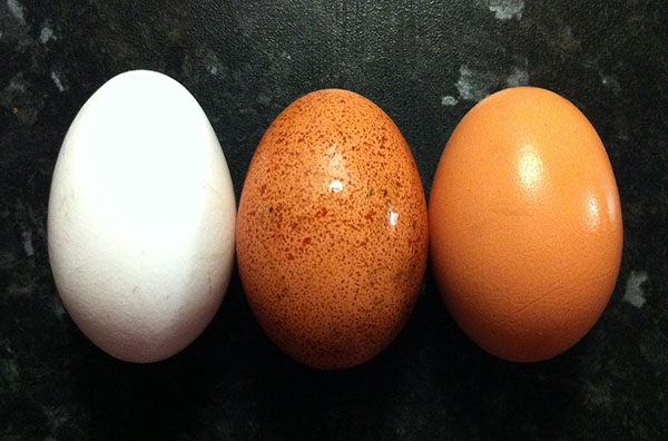 3 яйця