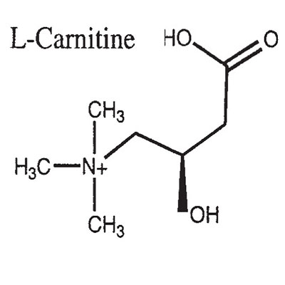 L-карнітин