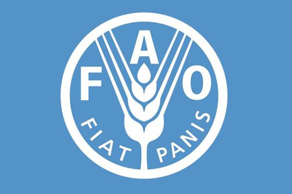 Логотип Food and Agriculture Organization
