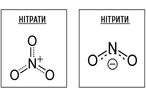 Нітрати і нітрити