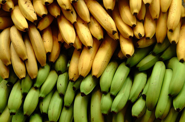 Жовті і зелені банани