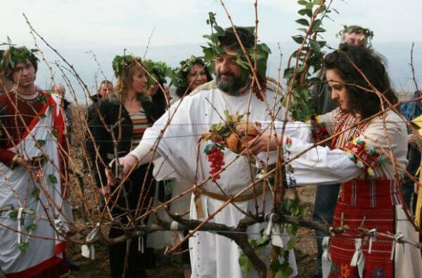 Обрізання виноградної лози на свято Трифона Зарізана у Болгарії