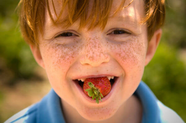 Хлопчик їсть полуницю