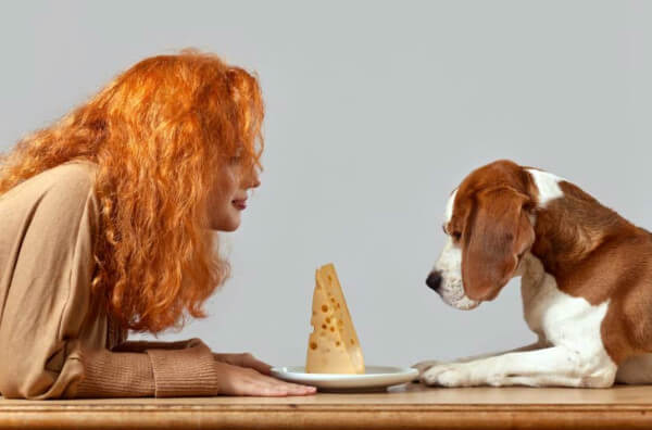 Жінка, собака та сир