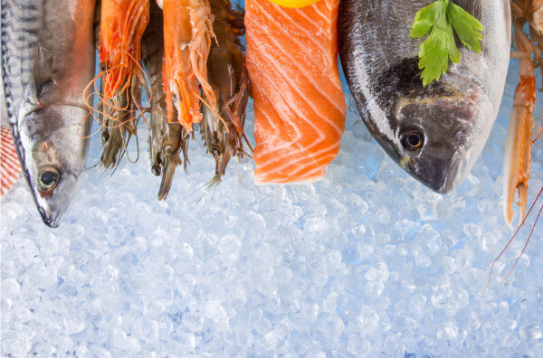 Риба і морепродукти