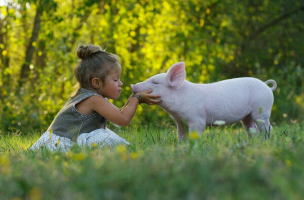 Дівчинка і свинка