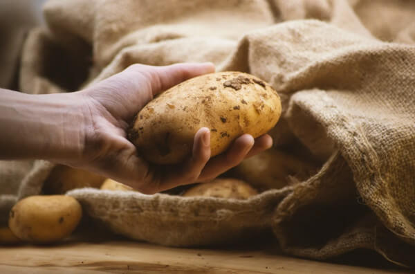 Картоплина у руці