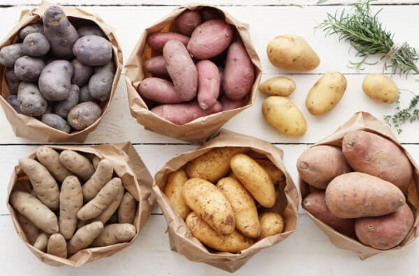 Різні сорти картоплі