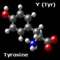 Тирозин