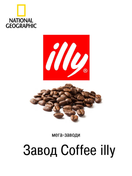 Мега завод Сoffee illy