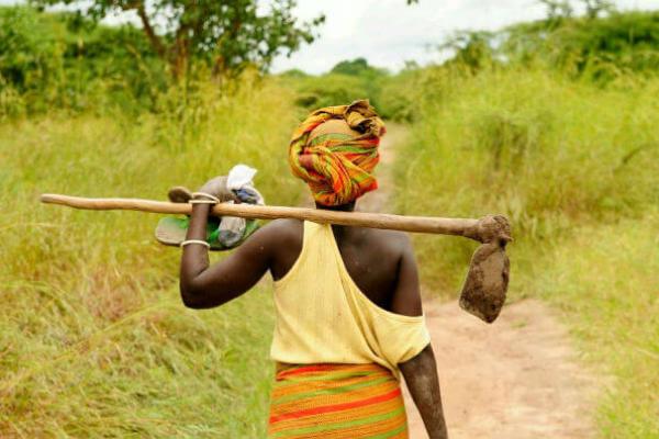 Африканська жінка-фермер