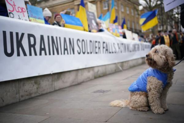 Собака з українським прапором
