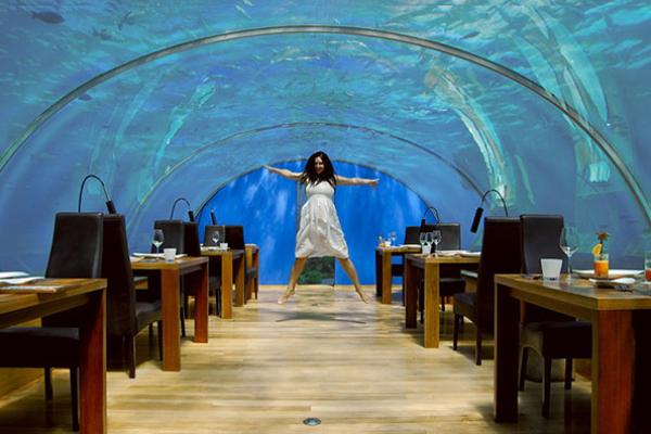 Ресторан Ithaa Undersea Restaurant