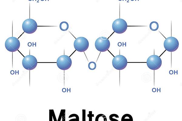 Молекула мальтози